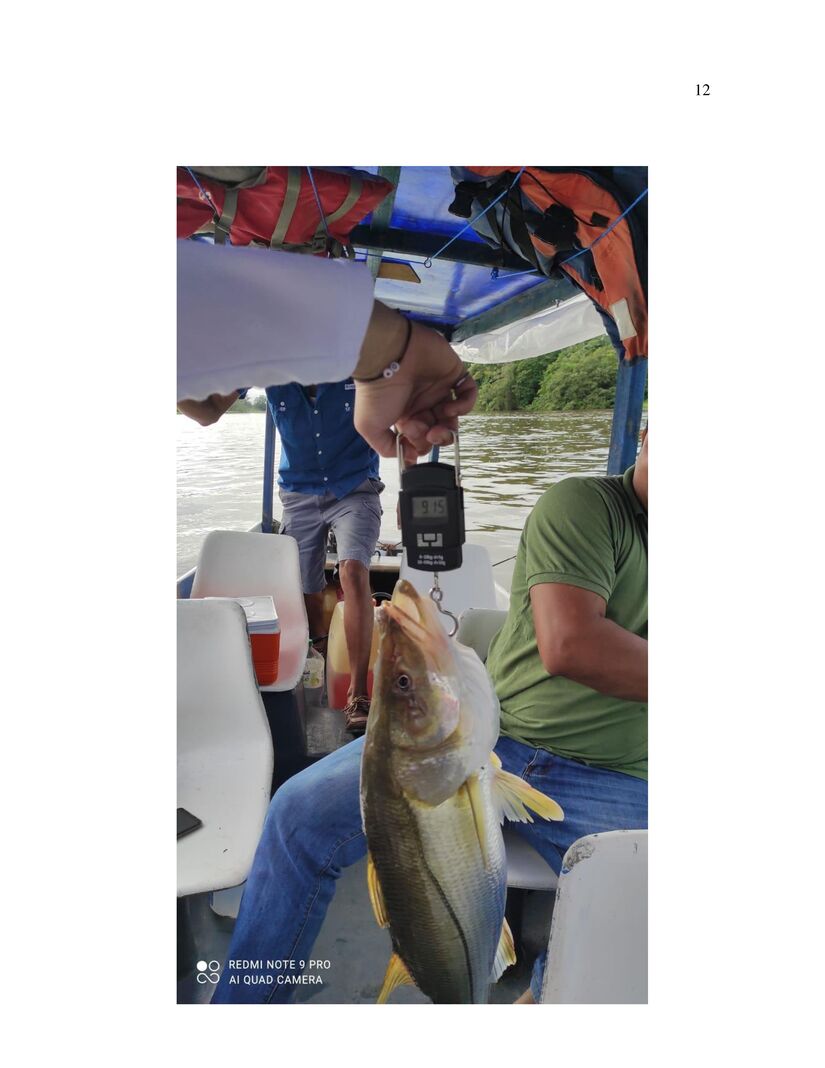 PESCA